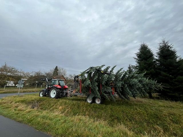 Bild "Info / Termine:Christbaumtransport_2025.JPG"