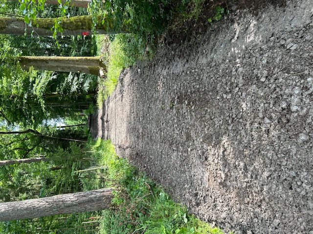 Bild "Info / Termine:Schotter_Kreuzstein.jpg"